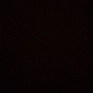 Meet your Posher, Ryleigh